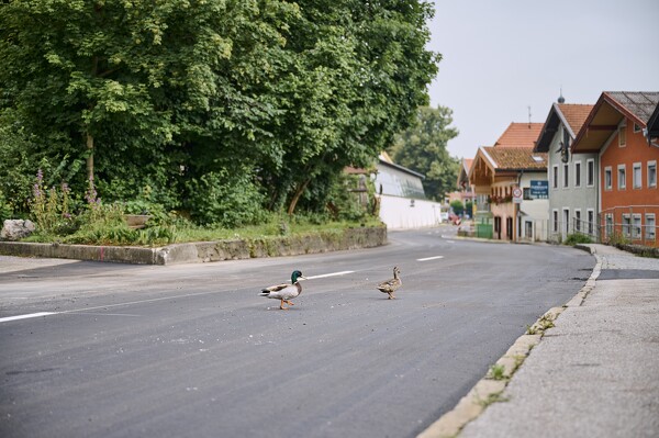 b20-24-06-21-08-19-34