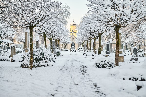 lf-22-12-13-08-45-25