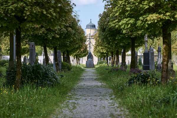 lf-23-05-05-08-34-14