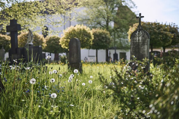 lf-23-05-05-08-37-04