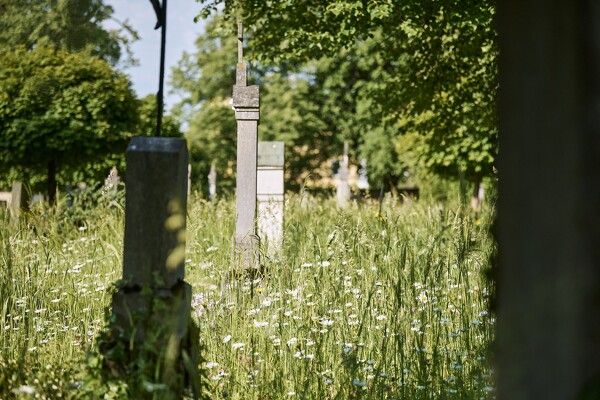 lf-23-06-02-08-33-58