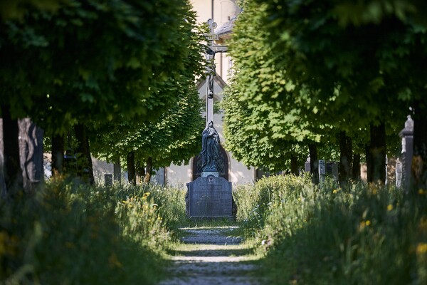 lf-23-06-02-08-36-04