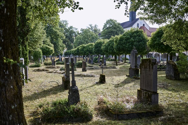 lf-23-07-12-08-25-43