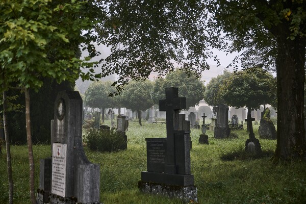 lf-23-09-26-07-49-37