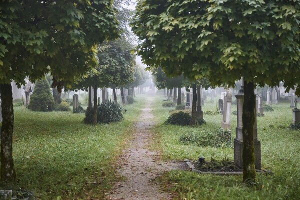 lf-23-09-26-07-51-36