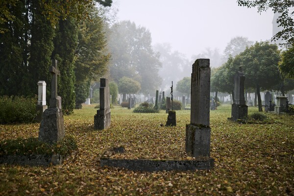 lf-23-10-06-07-51-51