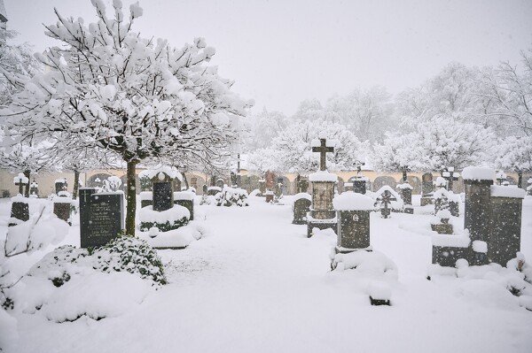 lf-23-12-02-08-38-45