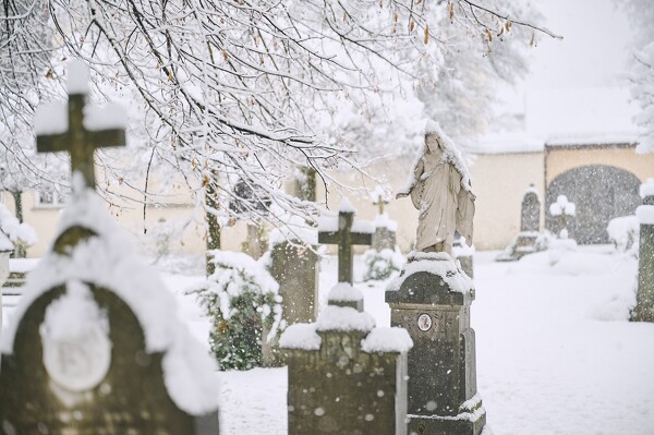 lf-23-12-02-08-39-53