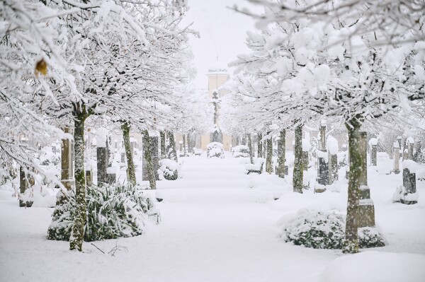 lf-23-12-02-08-40-45