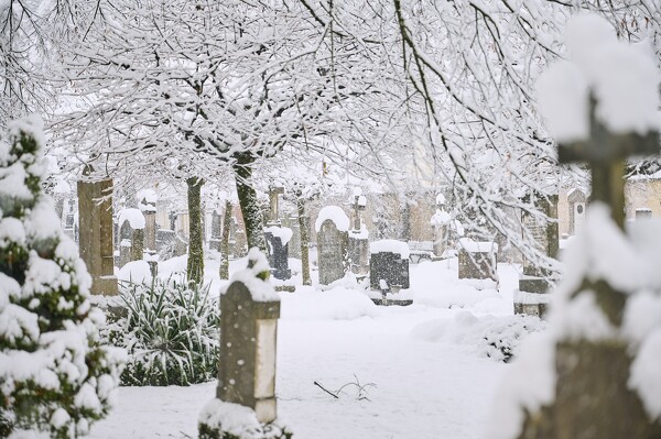 lf-23-12-02-08-41-01