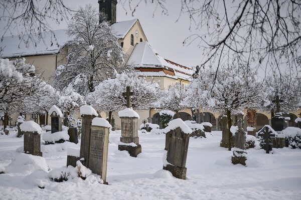 lf-23-12-04-11-32-02