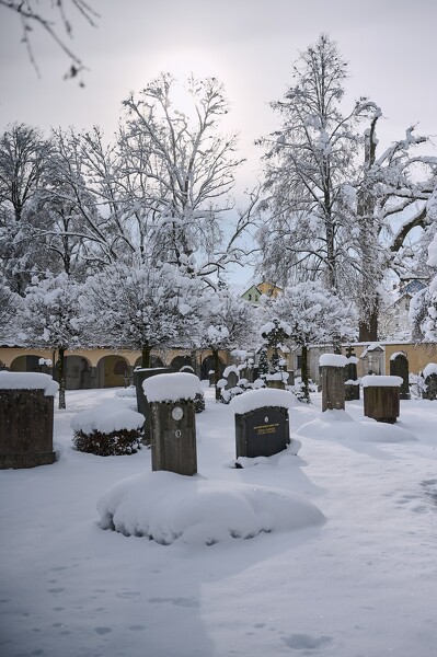 lf-23-12-04-11-32-24