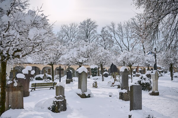 lf-23-12-04-11-33-18