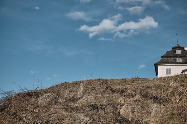 lf-23-03-09-17-17-51