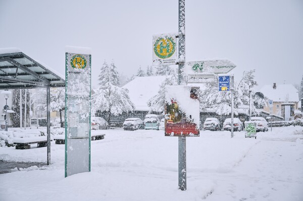 lf-23-12-02-07-46-24