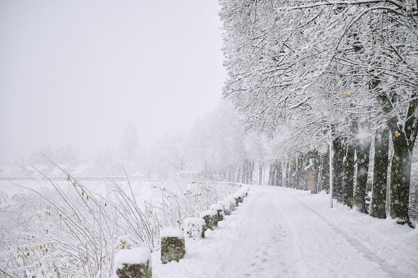 lf-23-12-02-08-00-01