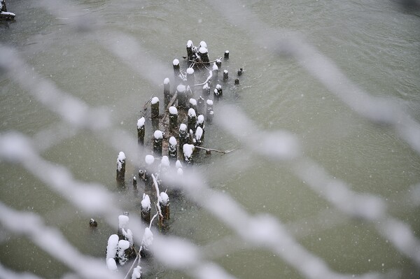 lf-23-12-02-08-16-05