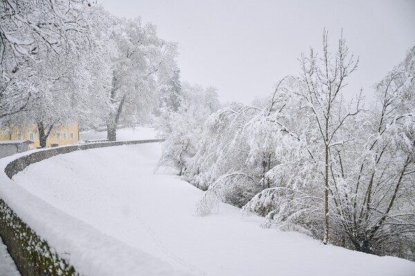 lf-23-12-02-08-19-06