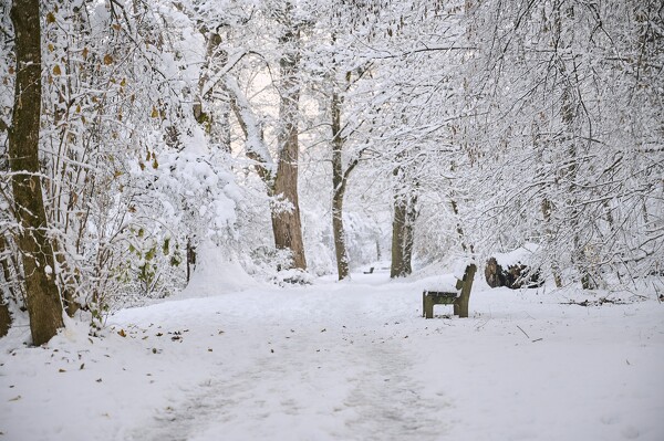 lf-23-12-04-08-10-27