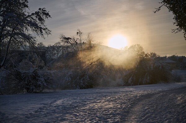 lf-23-12-04-08-20-09