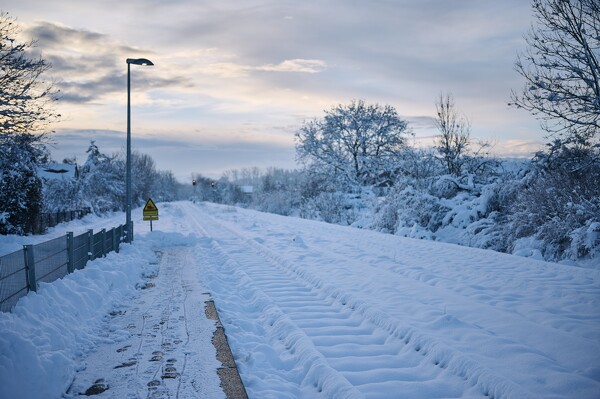 lf-23-12-05-08-16-45