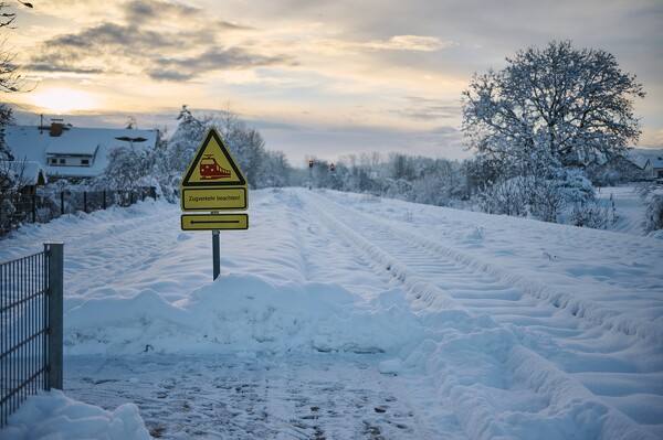 lf-23-12-05-08-17-06