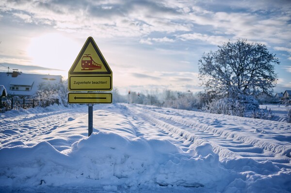 lf-23-12-05-08-44-13