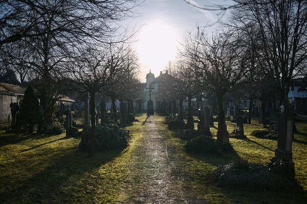 lf-24-01-30-15-45-07