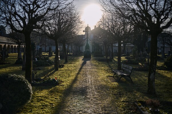 lf-24-01-30-15-45-52