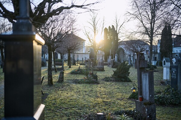 lf-24-01-30-16-23-57