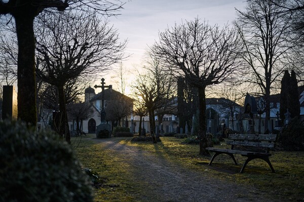 lf-24-01-30-16-24-21