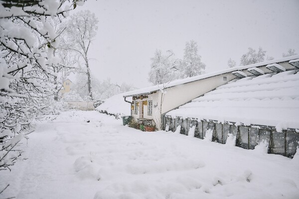 lf-23-12-02-08-42-39