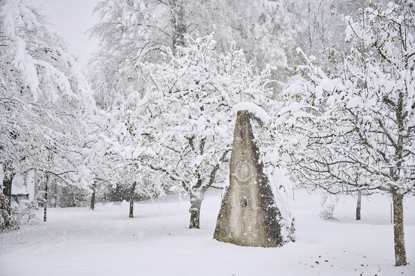 lf-23-12-02-08-44-24