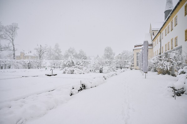 lf-23-12-02-08-44-33