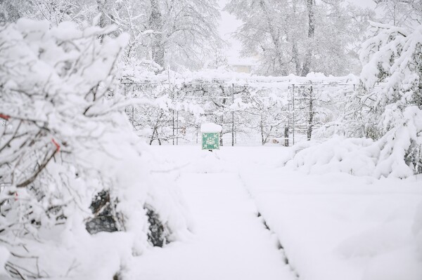 lf-23-12-02-08-43-50