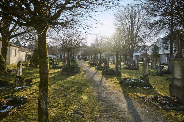 lf-25-02-19-16-24-07