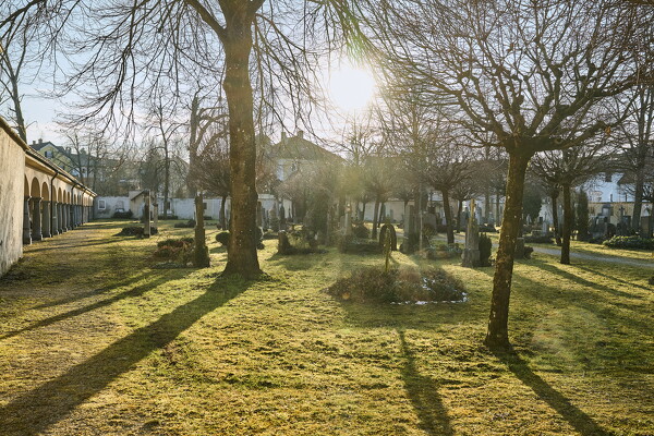 lf-25-02-19-16-25-42