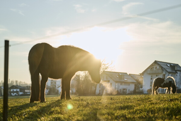 lf-25-02-19-16-52-42