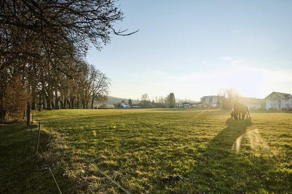 lf-25-02-19-16-55-30