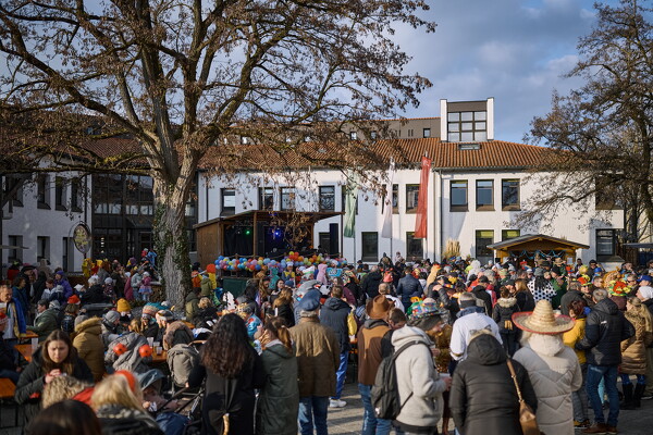 fafl-25-03-01-16-24-42