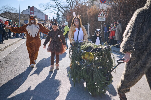 falf-25-03-04-14-26-09