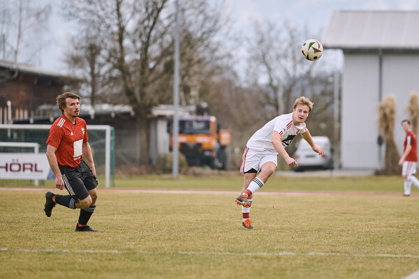 svl-sgs-25-03-22-14-04-45