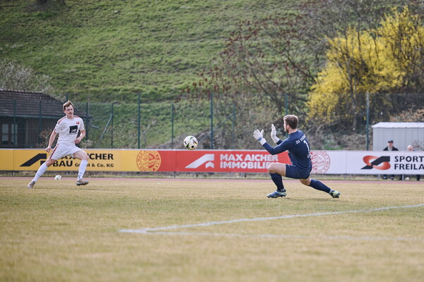 svl-sgs-25-03-22-14-24-06