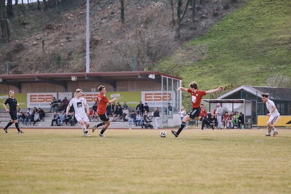 svl-sgs-25-03-22-14-24-09