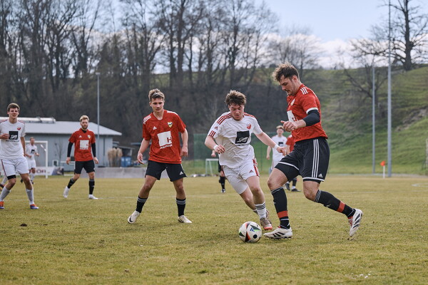 svl-sgs-25-03-22-14-26-20