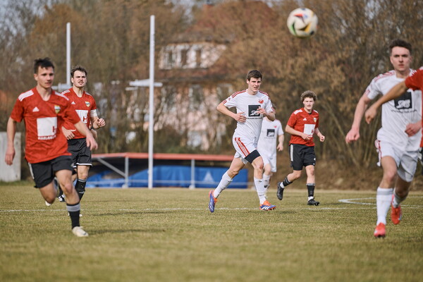 svl-sgs-25-03-22-15-18-24