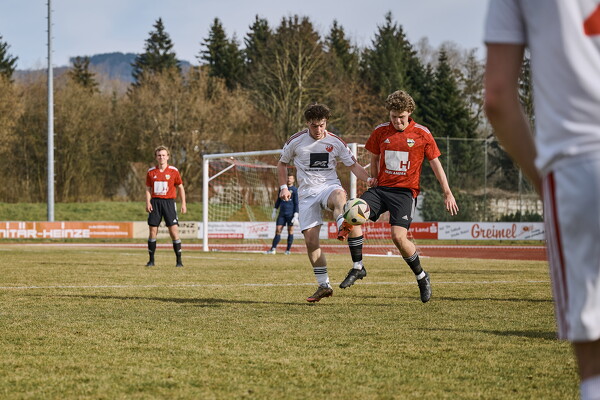 svl-sgs-25-03-22-15-22-34