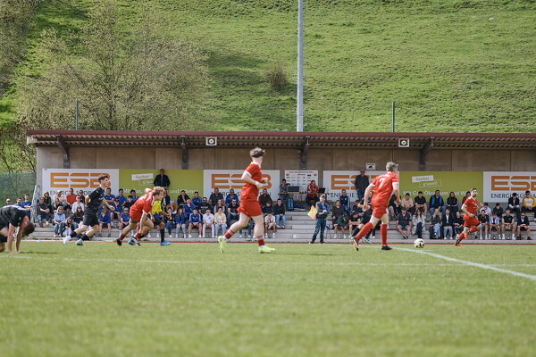 svl-tsvp-25-04-05-13-26-16