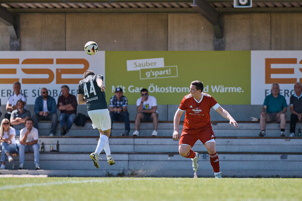 svl-svr-25-04-19-14-37-49