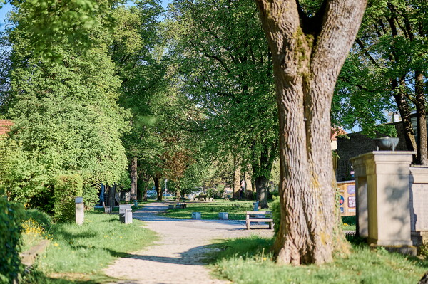 lf-25-04-27-08-28-04